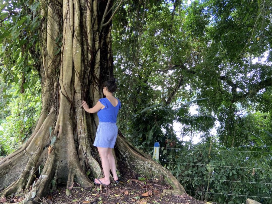 Sara Shirley intuitive healer heal in nature